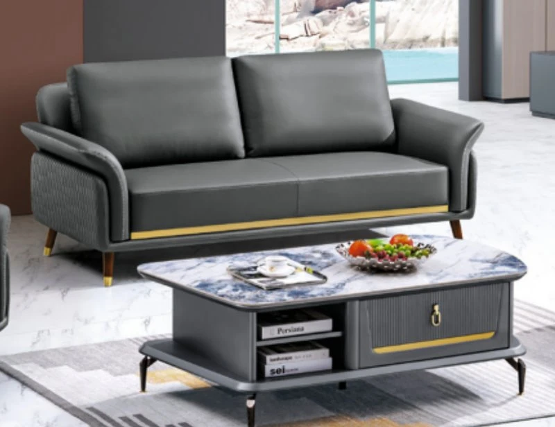 Best Genuine Leather Sofa